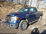 FORD F-150 XLT 1FTEX1EM2CFB07359 снимка