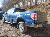FORD F-150 XLT 1FTEX1EM2CFB07359 fotografie