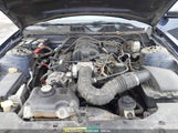 FORD MUSTANG V6/V6 PREMIUM 1ZVBP8AN5A5135201 fotografie