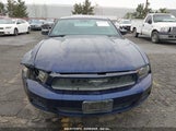 FORD MUSTANG V6/V6 PREMIUM 1ZVBP8AN5A5135201 снимка