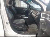 FORD EXPLORER XLT 1FM5K7D81FGC36693 fotografie