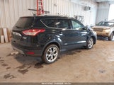 FORD ESCAPE TITANIUM 1FMCU0JX3GUB70607 fotografie