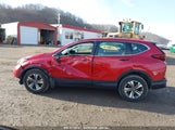 HONDA CR-V AWD LX 2HKRW2H24LH621966 fotografie