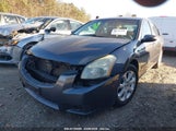 NISSAN MAXIMA 3.5 SL 1N4BA41E08C836396 снимка