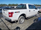 FORD F-150 XL 1FTEW1E58LFB38174 снимка