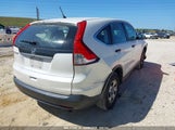 HONDA CR-V LX 5J6RM3H32EL039572 снимка