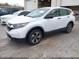 HONDA CR-V LX 2HKRW5H39KH414207 снимка