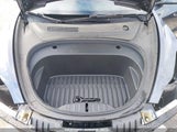 TESLA MODEL 3 REAR-WHEEL DRIVE 5YJ3E1EA4PF569645 снимка