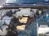 TOYOTA TUNDRA SR5 V8 5TFRV54107X020677 photo