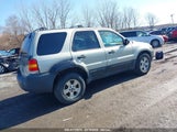 Ford Escape Xlt 1FMYU93105KB27645 снимка