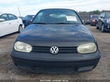 VOLKSWAGEN CABRIO GLX 3VWDC21V32M804434 снимка