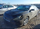 NISSAN MAXIMA 3.5 SV 1N4AA51E19C815169 снимка