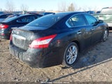 NISSAN MAXIMA 3.5 SV 1N4AA51E19C815169 снимка