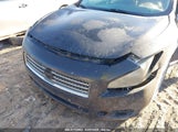 NISSAN MAXIMA 3.5 SV 1N4AA51E19C815169 снимка