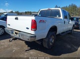 FORD F-350 LARIAT/XL/XLT 1FTWW31P65ED30287 fotografie