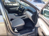 HYUNDAI TUCSON SEL 5NMJF3DE8RH381765 снимка