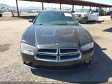 DODGE CHARGER SXT PLUS 2C3CDXHG2DH571491 снимка