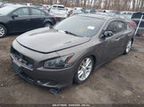 NISSAN MAXIMA 3.5 SV 1N4AA5AP5EC461992 снимка