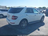 MERCEDES-BENZ ML 350 4MATIC 4JGBB8GB3BA663385 photo