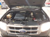FORD ESCAPE XLT 1FMCU0DG5BKA53661 fotografie