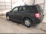 FORD ESCAPE XLT 1FMCU0DG5BKA53661 снимка