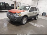 FORD ESCAPE XLT 1FMYU93135KA70647 снимка