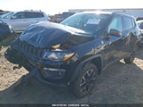 JEEP COMPASS TRAILHAWK 4X4 3C4NJDDB4LT220965 снимка
