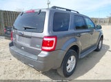 FORD ESCAPE XLT 1FMCU0DG6AKA10462 снимка
