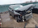 Jeep Cherokee Latitude Lux Fwd 1C4PJLMX7MD135172 fotografie