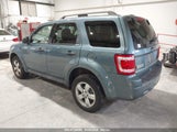 FORD ESCAPE XLT 1FMCU0D78BKB78606 fotografie