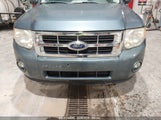 FORD ESCAPE XLT 1FMCU0D78BKB78606 fotografie