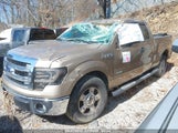 FORD F-150 XLT 1FTFX1ET1DFD65904 снимка
