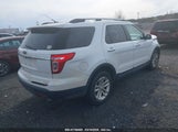 FORD EXPLORER XLT 1FM5K7D89EGB07664 photo