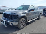 FORD F-150 XLT 1FTFW1EF8DKE23561 снимка