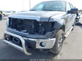 FORD F-150 XLT 1FTFW1EF8DKE23561 снимка