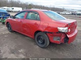 TOYOTA COROLLA LE 1NXBU4EE3AZ380787 снимка
