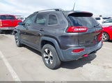 JEEP CHEROKEE TRAILHAWK L PLUS 4X4 1C4PJMBS6HW597794 снимка