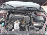 HONDA ACCORD LX 1HGCR2F3XDA109342 снимка