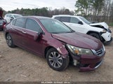 HONDA ACCORD LX 1HGCR2F3XDA109342 снимка