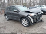 ACURA RDX 5J8TB2H24AA004994 снимка