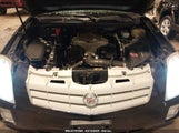CADILLAC SRX V6 1GYEE437X90110052 снимка
