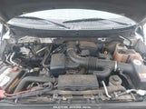 FORD F-150 FX2 SPORT/HARLEY-DAVIDSON/KING RANCH/LARIAT/PLATINUM/XL/XLT 1FTFW1CV6AFD29595 photo