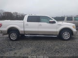 FORD F-150 FX2 SPORT/HARLEY-DAVIDSON/KING RANCH/LARIAT/PLATINUM/XL/XLT 1FTFW1CV6AFD29595 fotografie