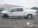 FORD F-150 FX2 SPORT/HARLEY-DAVIDSON/KING RANCH/LARIAT/PLATINUM/XL/XLT 1FTFW1CV6AFD29595 photo