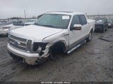 FORD F-150 FX2 SPORT/HARLEY-DAVIDSON/KING RANCH/LARIAT/PLATINUM/XL/XLT 1FTFW1CV6AFD29595 photo
