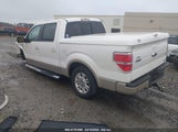 FORD F-150 FX2 SPORT/HARLEY-DAVIDSON/KING RANCH/LARIAT/PLATINUM/XL/XLT 1FTFW1CV6AFD29595 photo