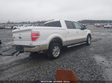 FORD F-150 FX2 SPORT/HARLEY-DAVIDSON/KING RANCH/LARIAT/PLATINUM/XL/XLT 1FTFW1CV6AFD29595 снимка