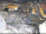 FORD EDGE SE 2FMDK3GC0BBA95735 fotografie
