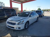 NISSAN MAXIMA 3.5 SV 1N4AA5AP9BC809434 снимка