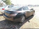 NISSAN MAXIMA 3.5 SV 1N4AA5AP2BC856577 снимка